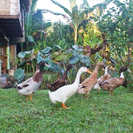 Jasri Dalem Surf Retreat Villa Exterior photo