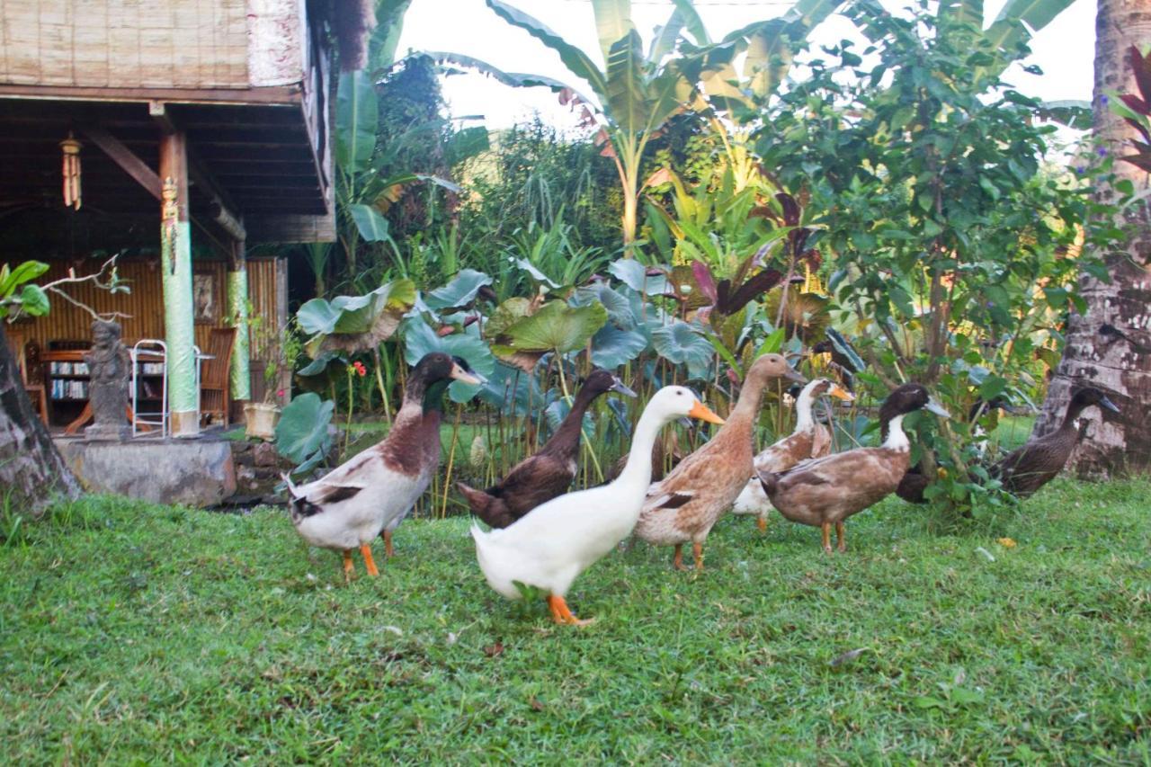 Jasri Dalem Surf Retreat Villa Exterior photo